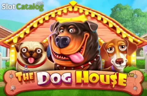 The Dog House, cani e ossa colorate